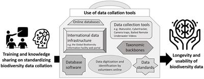 Collating biodiversity occurrence data for conservation